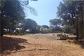 Photo numero 47923615 du bien UBI476811044